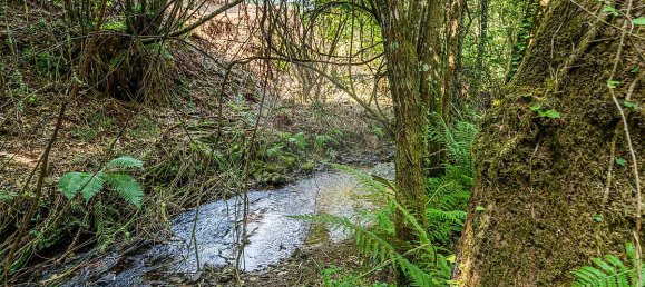 1 bedroom House in Felgueiras, Portugal No. 20886 24