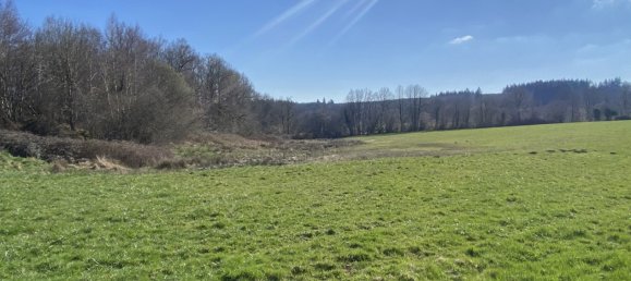 4 Schlafzimmer Haus in Meuzac, France, Nr. 95919 17