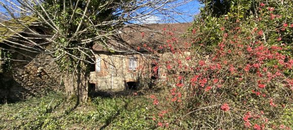 4 Schlafzimmer Haus in Meuzac, France, Nr. 95919 16