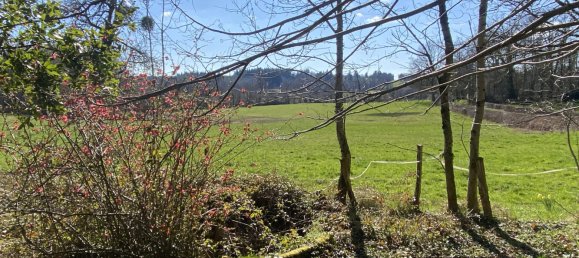 4 Schlafzimmer Haus in Meuzac, France, Nr. 95919 24