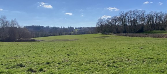4 Schlafzimmer Haus in Meuzac, France, Nr. 95919 7