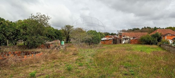 1 غرف نوم منزل في Cantanhede, Portugal رقم 170124 5