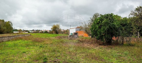 1 غرف نوم منزل في Cantanhede, Portugal رقم 170124 2