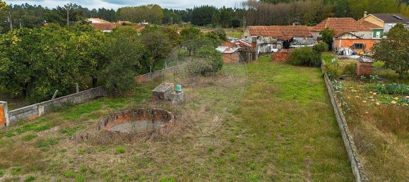 1 غرف نوم منزل في Cantanhede, Portugal رقم 170124 32