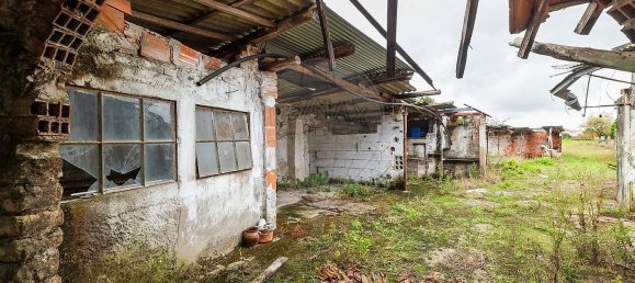 1 غرف نوم منزل في Cantanhede, Portugal رقم 170124 43