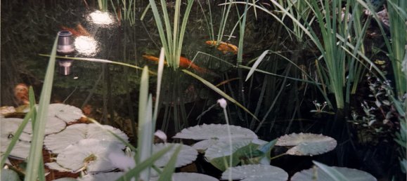 Casa de 6 habitaciónes en Minden-Lubbecke, Germany No. 209484 13