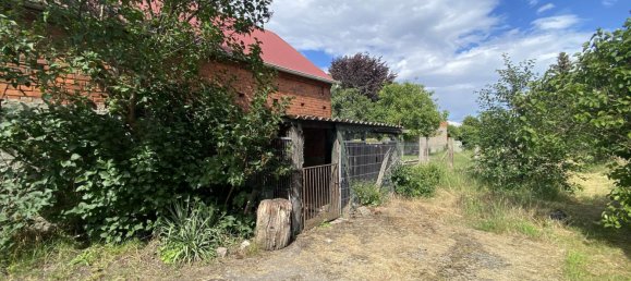 Таунхаус с 4 комнатами в Восточный Пригниц-Руппин, Германия № 115408 13