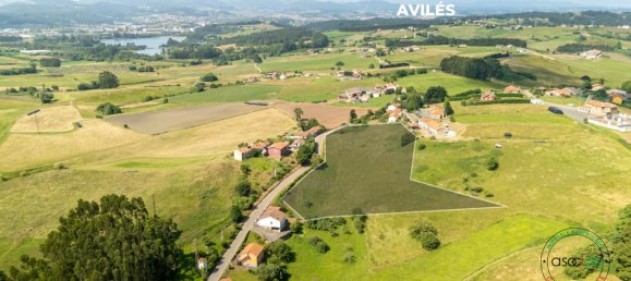 2000m² Land in Asturias, Spain No. 139759 10