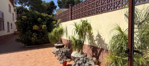 7 غرف نوم فيلا في Torrevieja, Spain رقم 184764 16