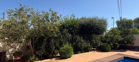 7 غرف نوم فيلا في Torrevieja, Spain رقم 184764 18