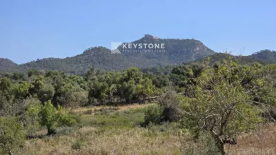 23000m² Land in Felanitx, Spain No. 211067