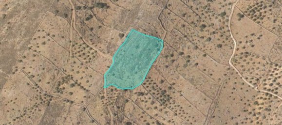 13439m² Land for sale in Agios Nikolaos, Lasithi, Crete, Greece № 92723 4