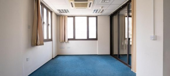 Gewerbliche Immobilie in Nicosia, Cyprus 1060m², Nr. 12235 13