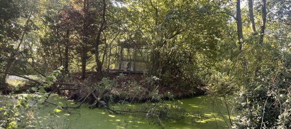 2 غرف نوم منزل في Nordfriesland, Germany رقم 316945 19