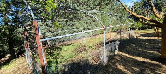 6-Zimmer Villa in Potenza, Italy, Nr. 236207 9