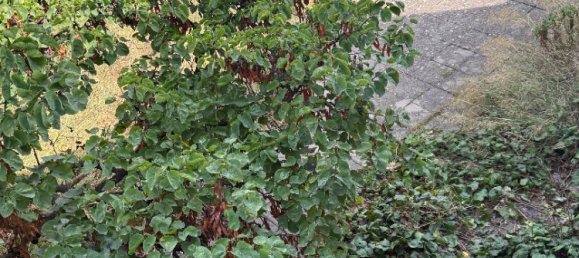 5 Schlafzimmer Haus in Vauvert, France, Nr. 351305 3