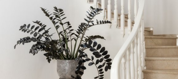 5 chambres Villa à Estepona, Spain No. 45192 29