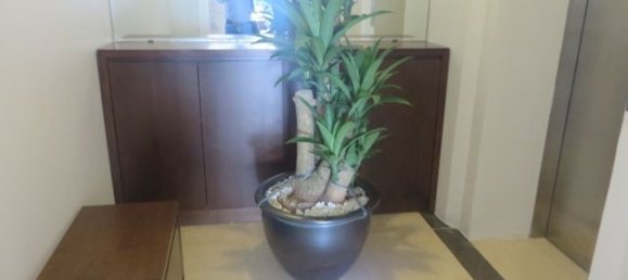 3 bedrooms Apartment in Tay Ho, Vietnam No. 4035 18