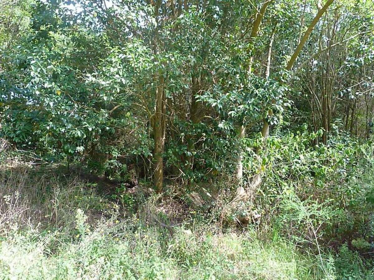 Земельный участок в Мальдонадо, Уругвай № 15490