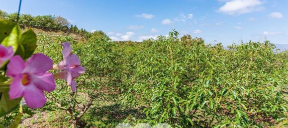 3 bedrooms House in Velez-Malaga, Spain No. 43081 29