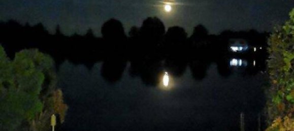 5-Zimmer Stadthaus in Münchendorf, Austria, Nr. 220633 5