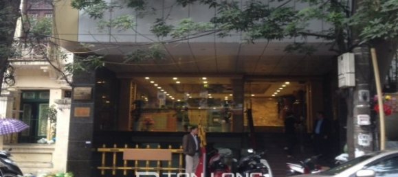 1800m² House in Hai Ba Trung, Vietnam No. 238 2