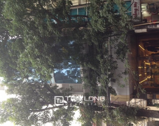 1800m² House in Hai Ba Trung, Vietnam No. 238