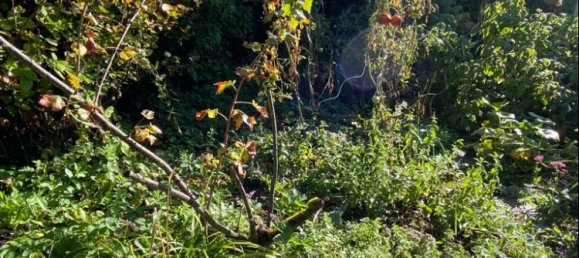 3 bedrooms Townhouse in Esslingen, Germany No. 347852 24