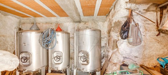 3 bedrooms House in Baiao, Portugal No. 26940 37