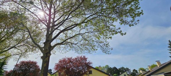 Adosado de 4 habitaciónes en Vienna, Austria No. 137849 4