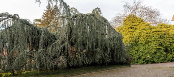 6 chambres Villa à Porto Valtravaglia, Italy No. 275310 33