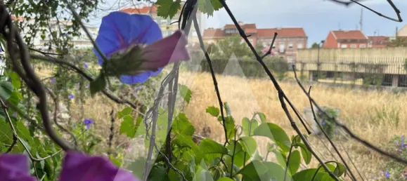 2000m² Land in Lisbon, Portugal No. 92526 4