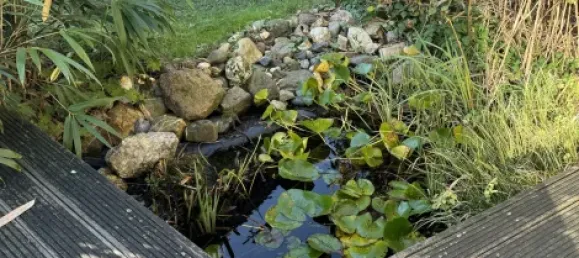 3 Schlafzimmer Haus in Kleve, Germany, Nr. 176211 28