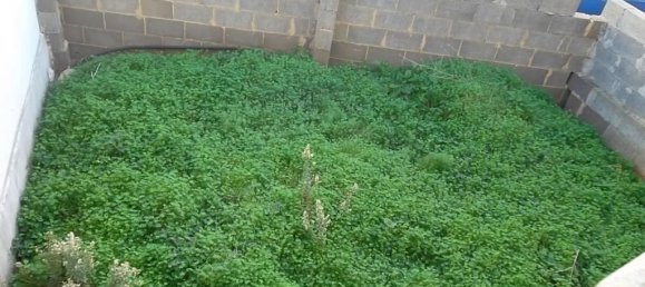 4-salle Villa à Casarano, Italy No. 233648 16