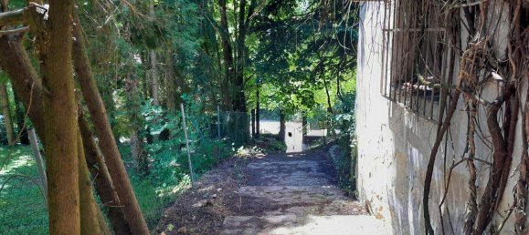  Land in Tullnerbach, Austria No. 218429 6