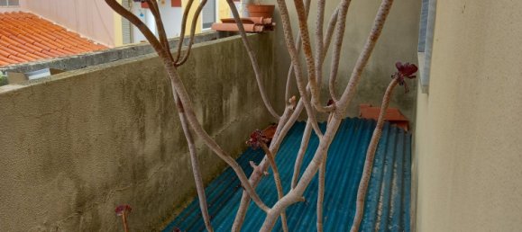 5 غرف نوم فيلا في Silves, Portugal رقم 138098 35