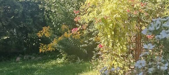 2 chambres Maison à Chemnitz, Germany No. 332596 22