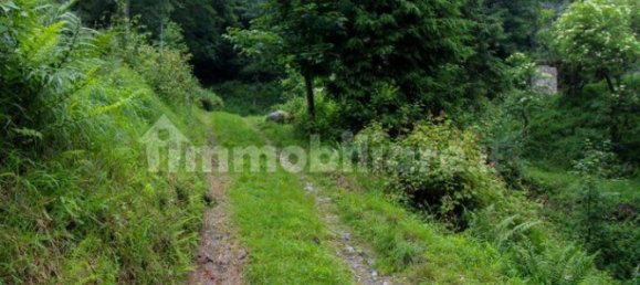 2 rooms House in Centro Valle Intelvi, Italy No. 158944 8