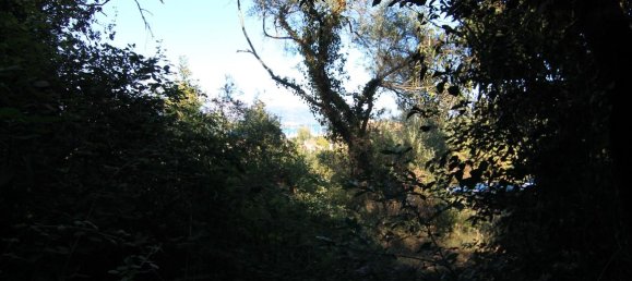 6500m² Hotel in Corfu, Greece No. 6045 2