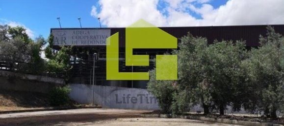 Armazém em Redondo, Portugal 1088 m² N.º 139372 35