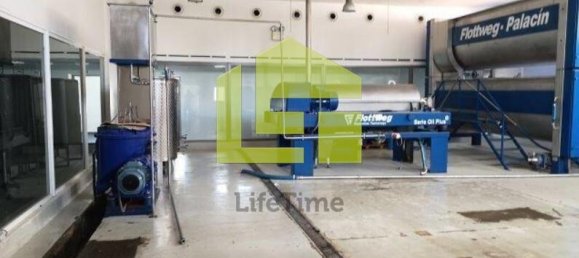 Armazém em Redondo, Portugal 1088 m² N.º 139372 3