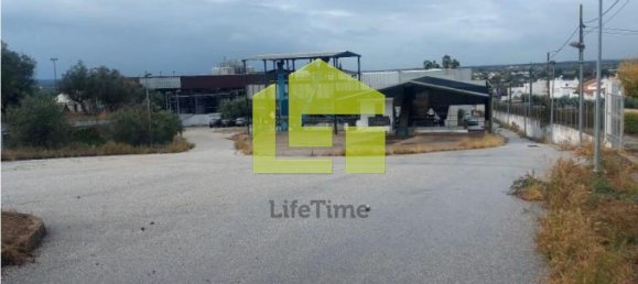 Armazém em Redondo, Portugal 1088 m² N.º 139372 30