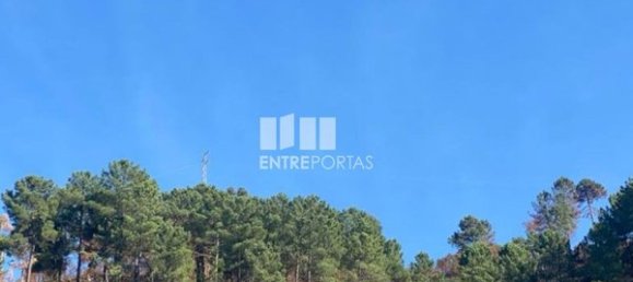 17000m² Land in Sao Cristovao de Nogueira, Portugal No. 55632 5