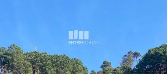 17000m² Land in Sao Cristovao de Nogueira, Portugal No. 55632 3
