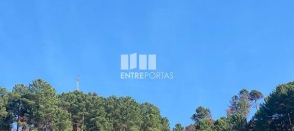 17000m² Land in Sao Cristovao de Nogueira, Portugal No. 55632 4