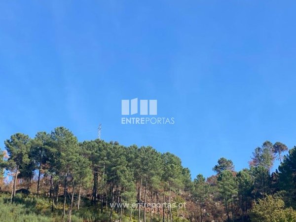 17000m² Land in Sao Cristovao de Nogueira, Portugal No. 55632