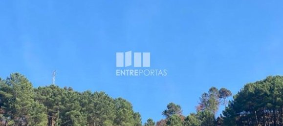 17000m² Land in Sao Cristovao de Nogueira, Portugal No. 55632 2