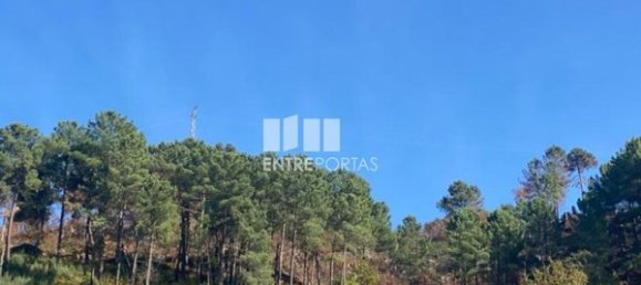 17000m² Land in Sao Cristovao de Nogueira, Portugal No. 55632 7