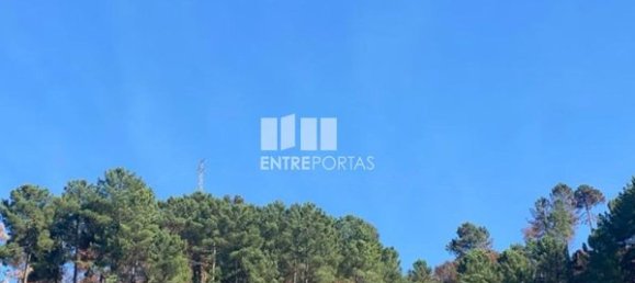 17000m² Land in Sao Cristovao de Nogueira, Portugal No. 55632 6