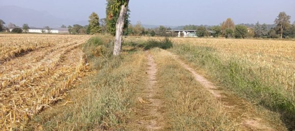  قطعة أرض في Prevalle, Italy 20000متر مربع رقم 230771 17